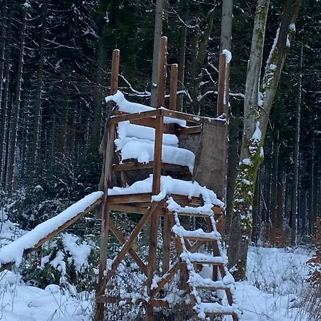 Maison d'hôtes Zum Waldfrieden 3*