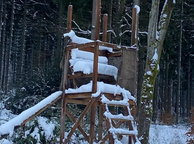 Affittacamere Zum Waldfrieden 3*